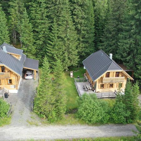 Almhaus & Almchalet Flattnitz Exteriér fotografie